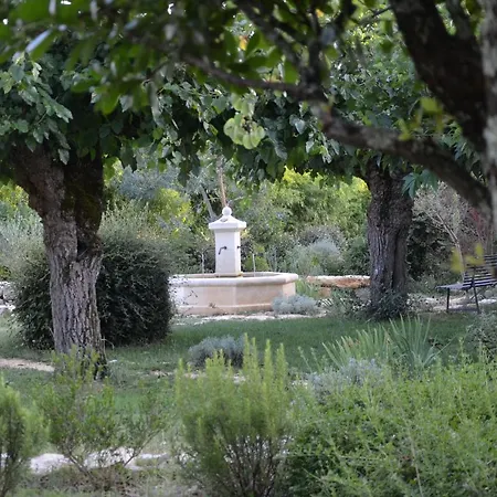 L'arbre Du Magnan Chandolas