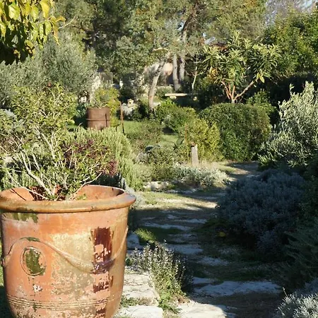 L'arbre Du Magnan